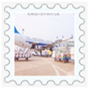 機(jī)場(chǎng)快件被扣快多久可以通關(guān)|專(zhuān)業(yè)處理