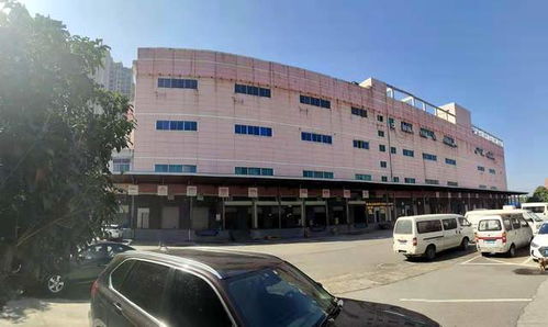 國內(nèi)最大醫(yī)藥食品物流中心長沙國際物流交博會(huì)上受青睞