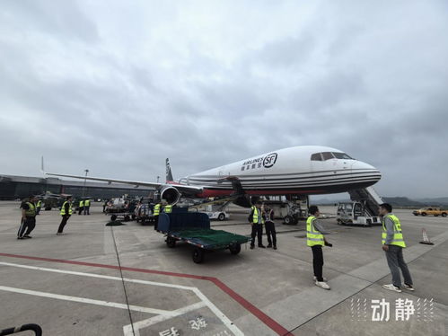 貴陽往返印度的兩條國際貨運(yùn)航線今年運(yùn)送貨物近1000噸